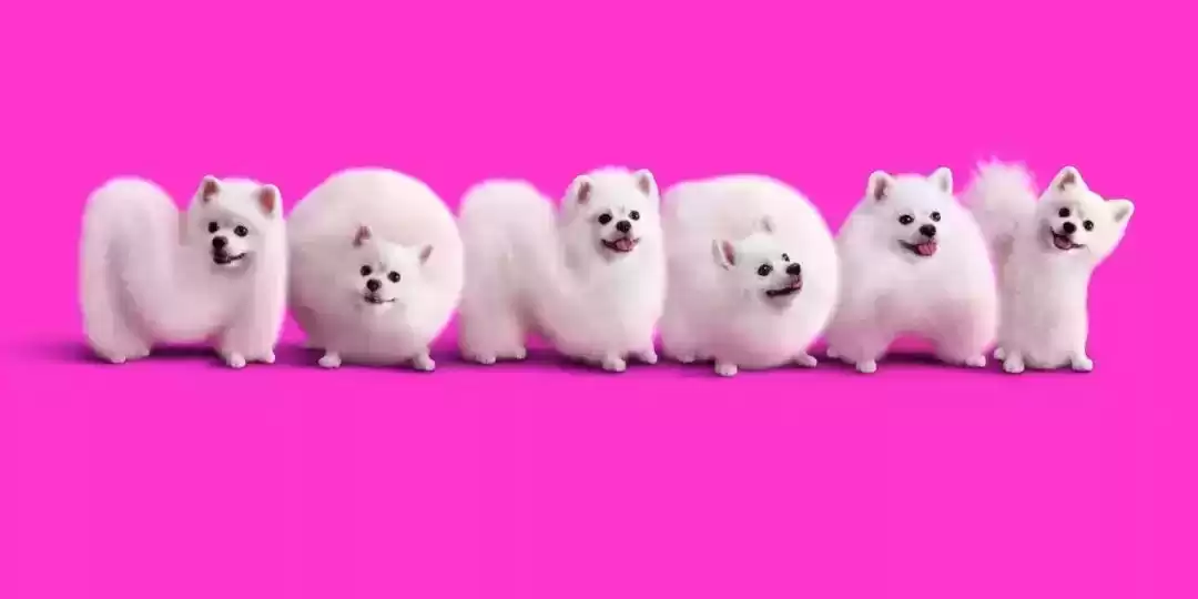 引爆创意风暴！20个让你过目不忘的平面广告案例解析