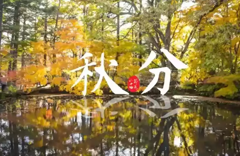 悬念广告实战秘籍:3步钩住用户好奇心,点击率暴涨! 悬念广告实战秘籍:3步钩住用户好奇心,点击率暴涨!