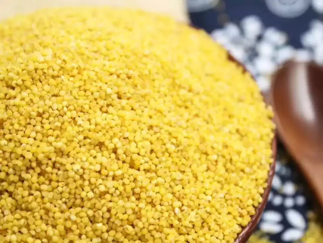 夏日没胃口？一碗米脂小米粥，瞬间开胃又养颜！