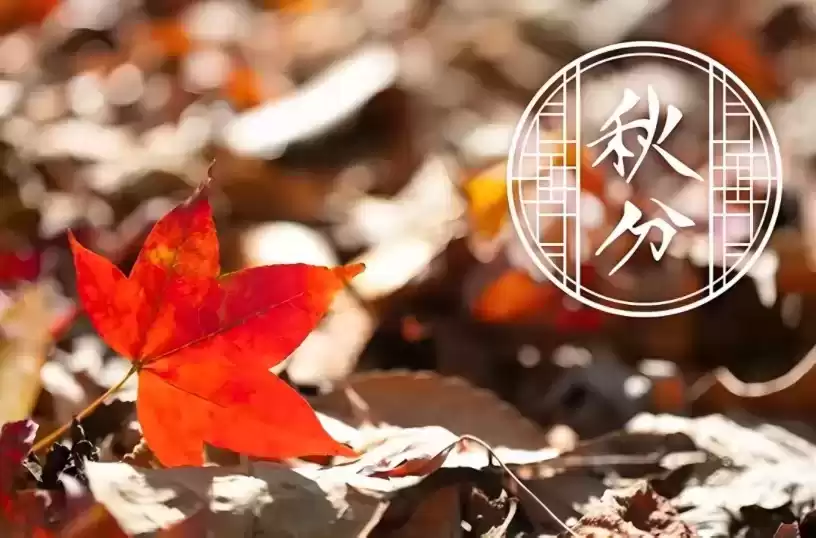 悬念式广告引爆术：3招让读者追着你跑！