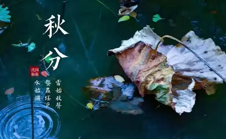 悬念广告爆款秘籍：3大案例教你写出勾魂标题，点击率翻倍！