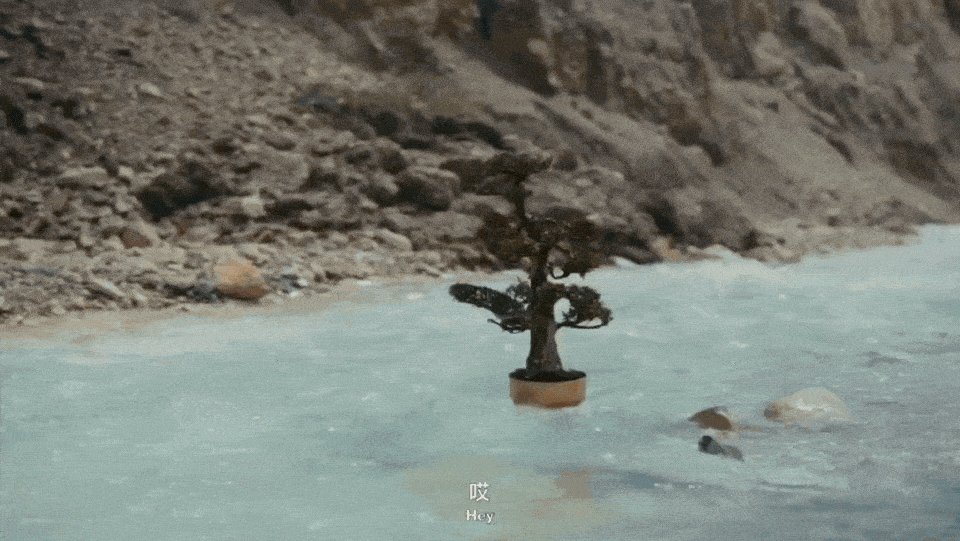 破圈之作！一棵树如何颠覆户外广告的传统叙事？