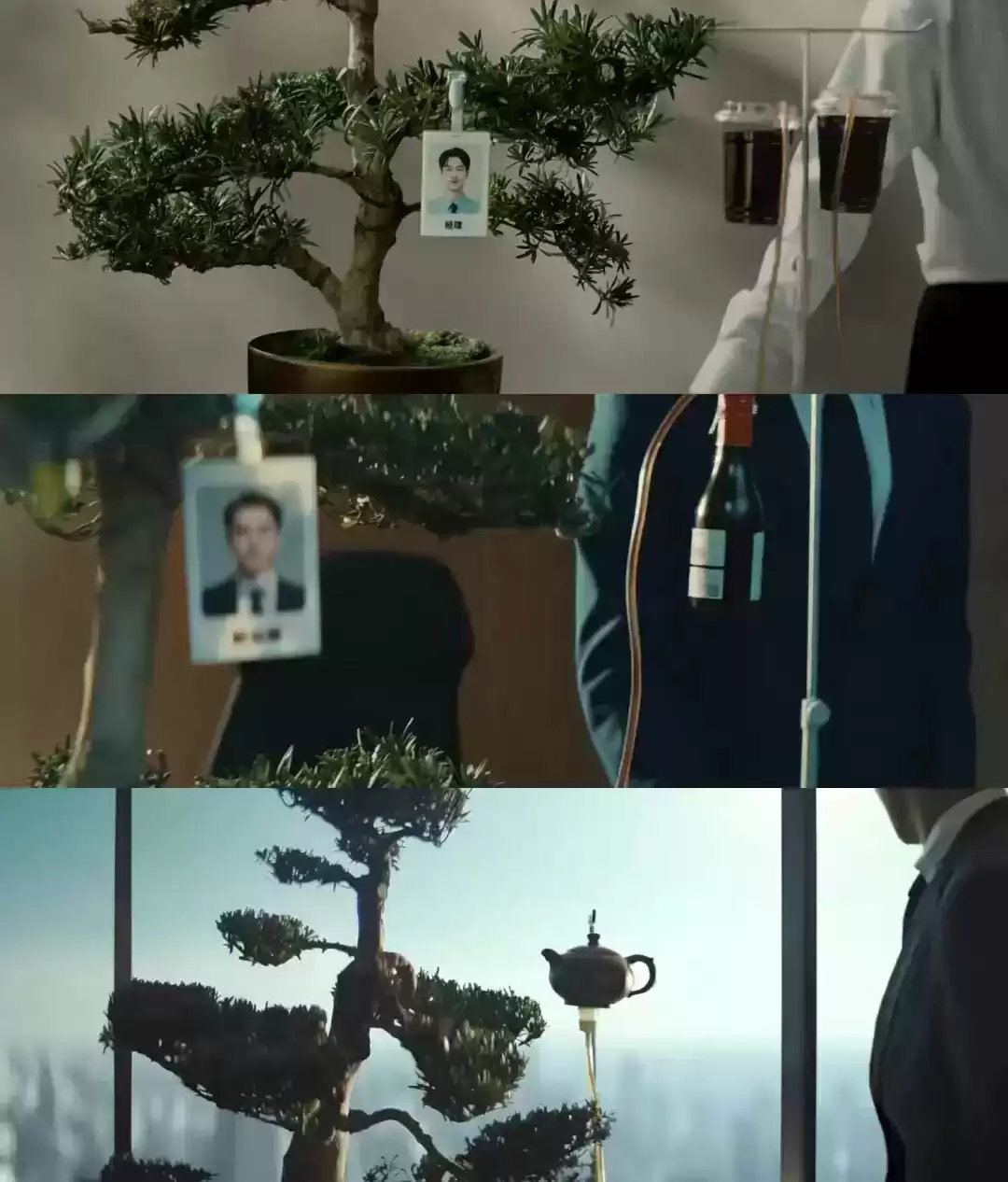 破圈之作！一棵树如何颠覆户外广告的传统叙事？