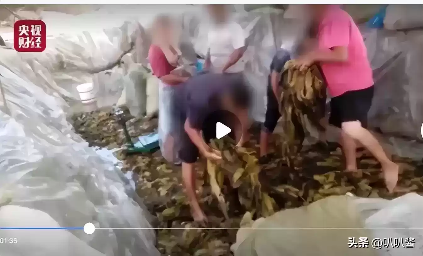 2017年虚假广告黑幕：明星胆大包天，央媒震怒，3大案例细节惊人！