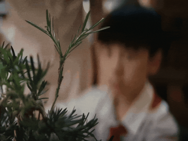 胡歌新广告刷屏：一棵树如何颠覆户外品牌营销？