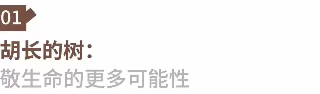 胡歌新广告刷屏：一棵树如何颠覆户外品牌营销？