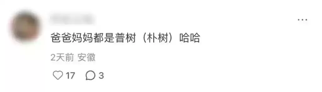 胡歌新广告刷屏：一棵树如何颠覆户外品牌营销？