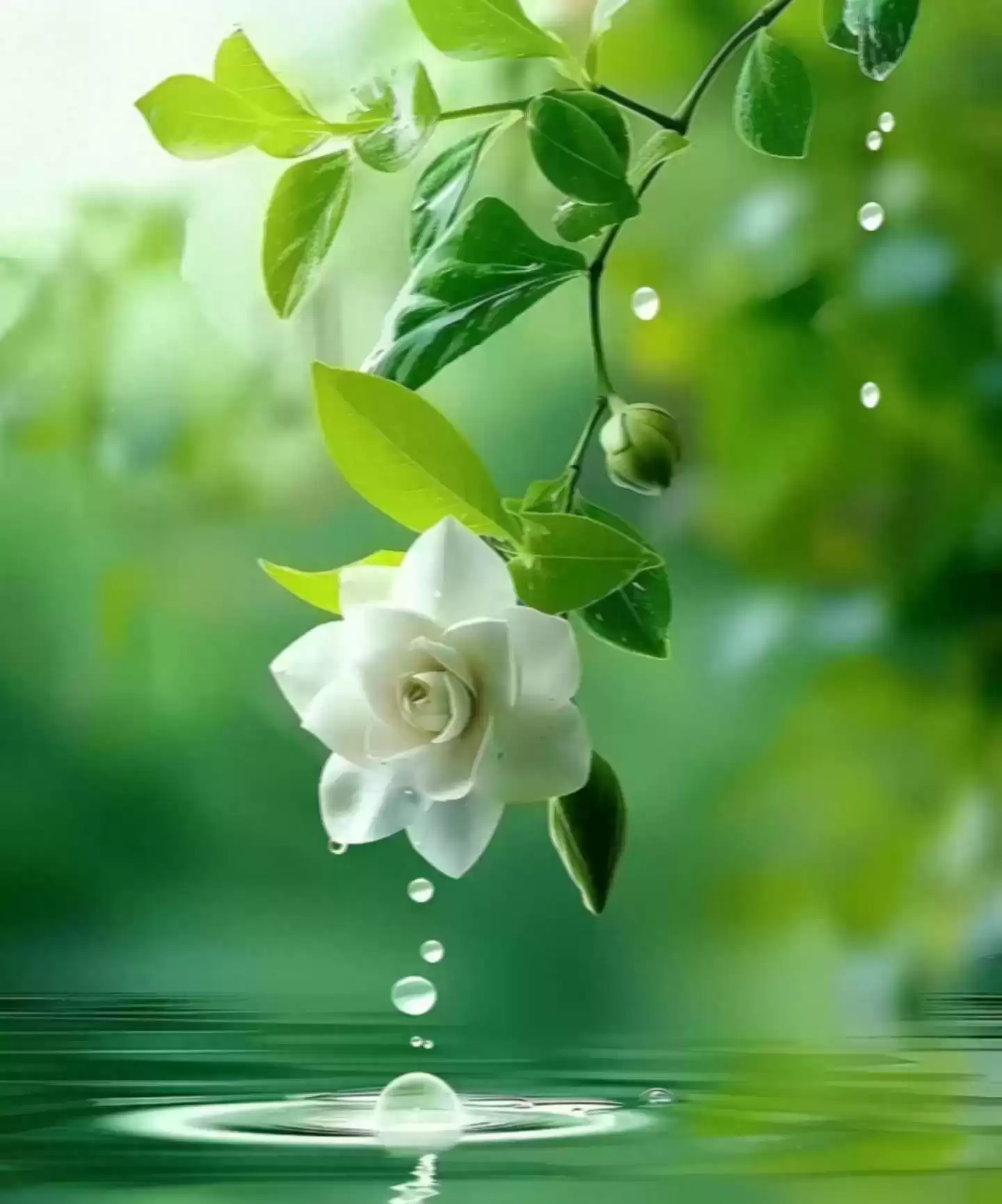 上海广告人震撼分享:内心从容,才是人生最顶级的活法! 上海广告人震撼分享:内心从容,才是人生最顶级的活法!