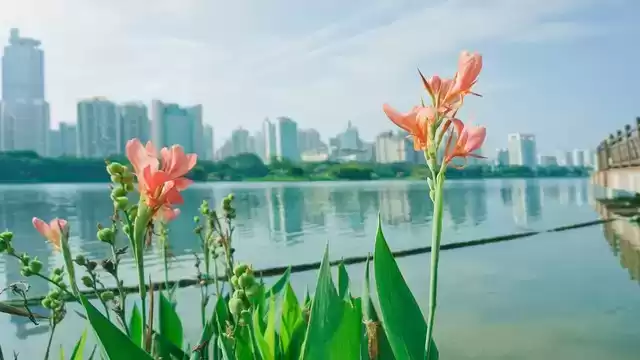 上海广告人震撼分享:内心从容,才是人生最顶级的活法! 上海广告人震撼分享:内心从容,才是人生最顶级的活法!