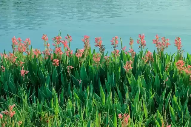上海广告人震撼分享:内心从容,才是人生最顶级的活法! 上海广告人震撼分享:内心从容,才是人生最顶级的活法!