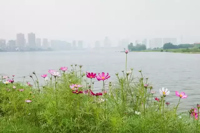 上海广告人震撼分享:内心从容,才是人生最顶级的活法! 上海广告人震撼分享:内心从容,才是人生最顶级的活法!