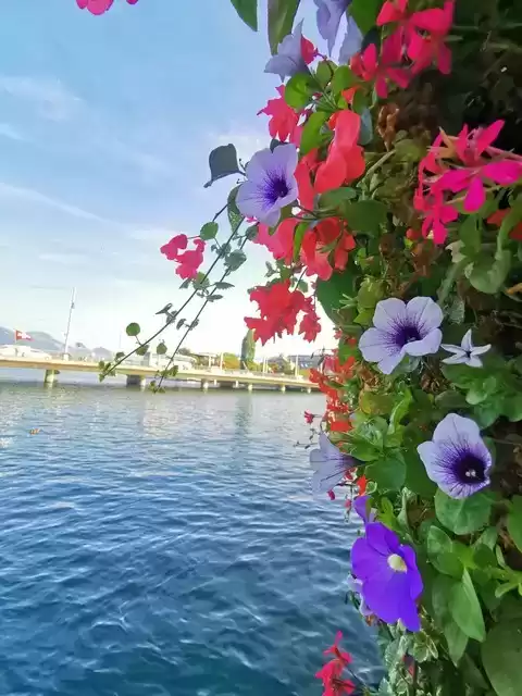 上海广告人震撼分享:内心从容,才是人生最顶级的活法! 上海广告人震撼分享:内心从容,才是人生最顶级的活法!