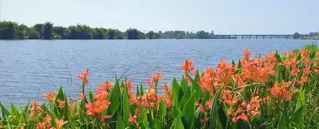 上海广告人震撼分享:内心从容,才是人生最顶级的活法! 上海广告人震撼分享:内心从容,才是人生最顶级的活法!