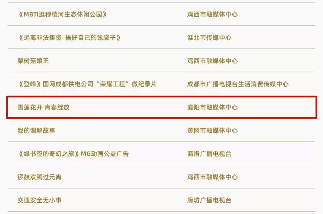 襄阳融媒体中心引爆2025！6大创新案例横扫全国大奖！