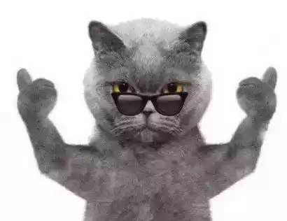 640万条垃圾短信引爆法律雷区：法院判决惊呆众人！