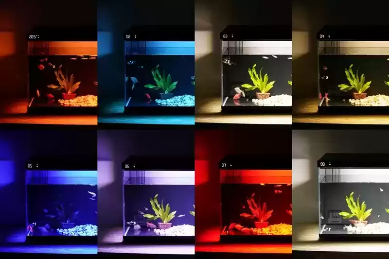 当贝智能鱼缸1 Ultra评测：AI养鱼革命，新手秒变养鱼达人！